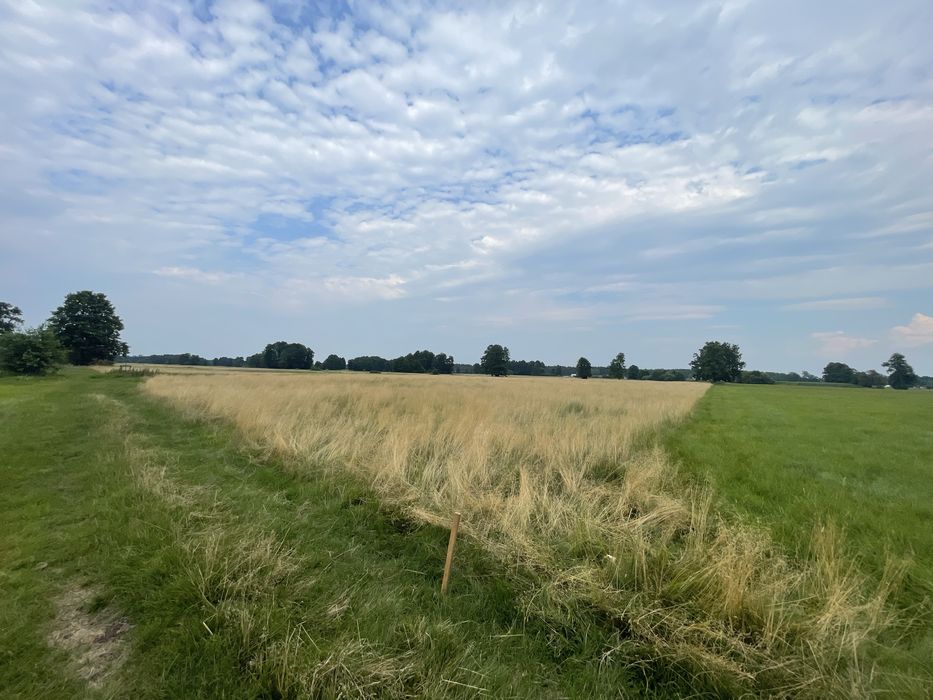 Malownicza działka rolna blisko Buga
