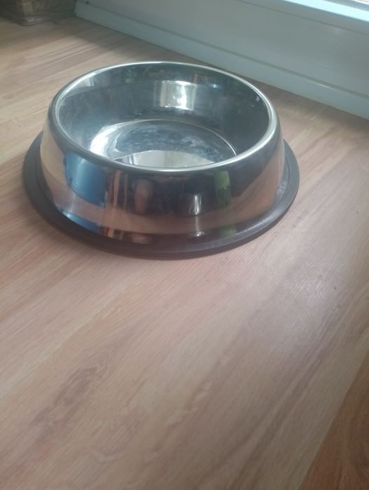 Smycz zobrożą duży pies+GRATIS