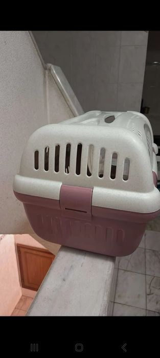 Transportadora animais