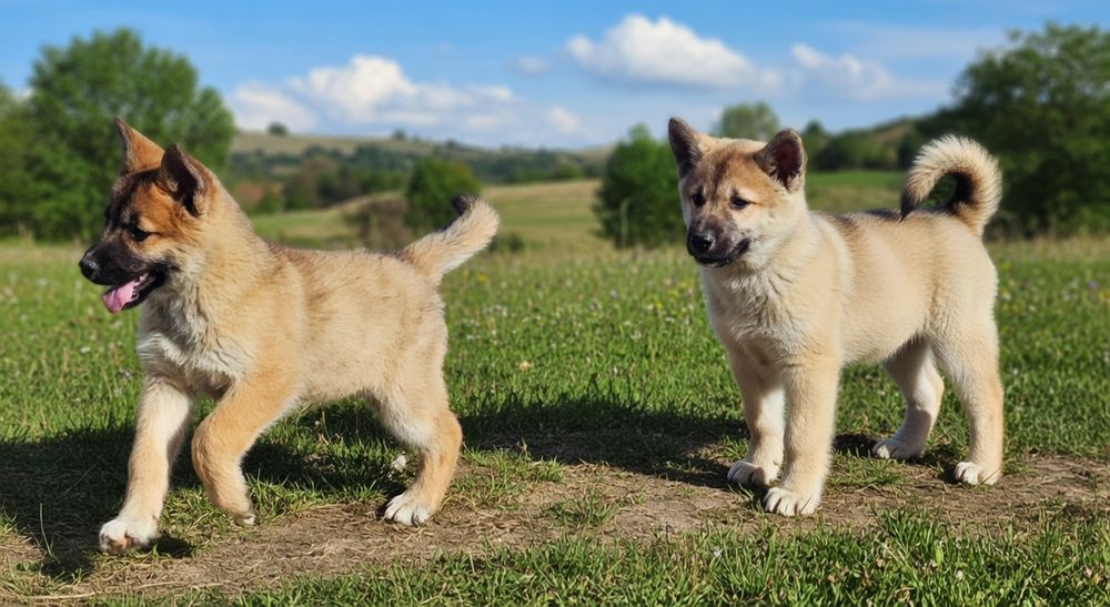 Хлопчик та дівчинка