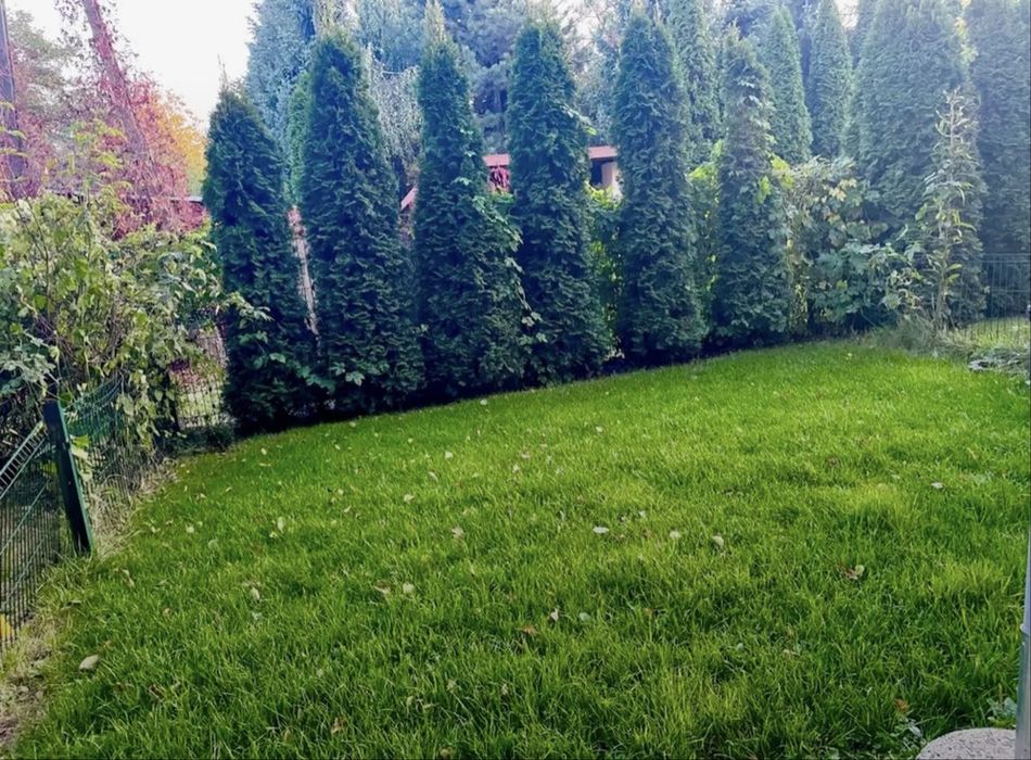 Mieszkanie na wynajem z ogrodkiem ul. Ostrodzka od zaraz - Widok 2