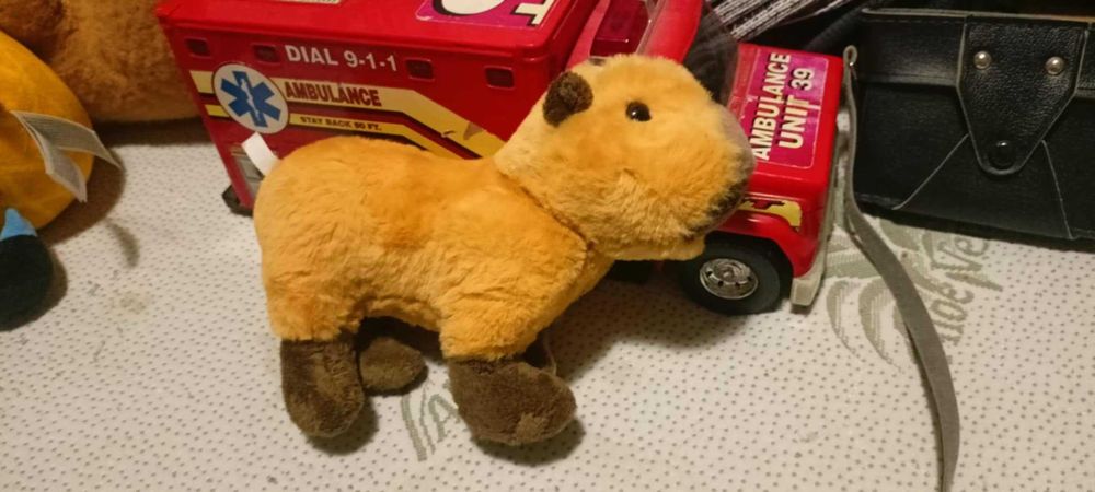 2x Maskotka Capibara Kapibara