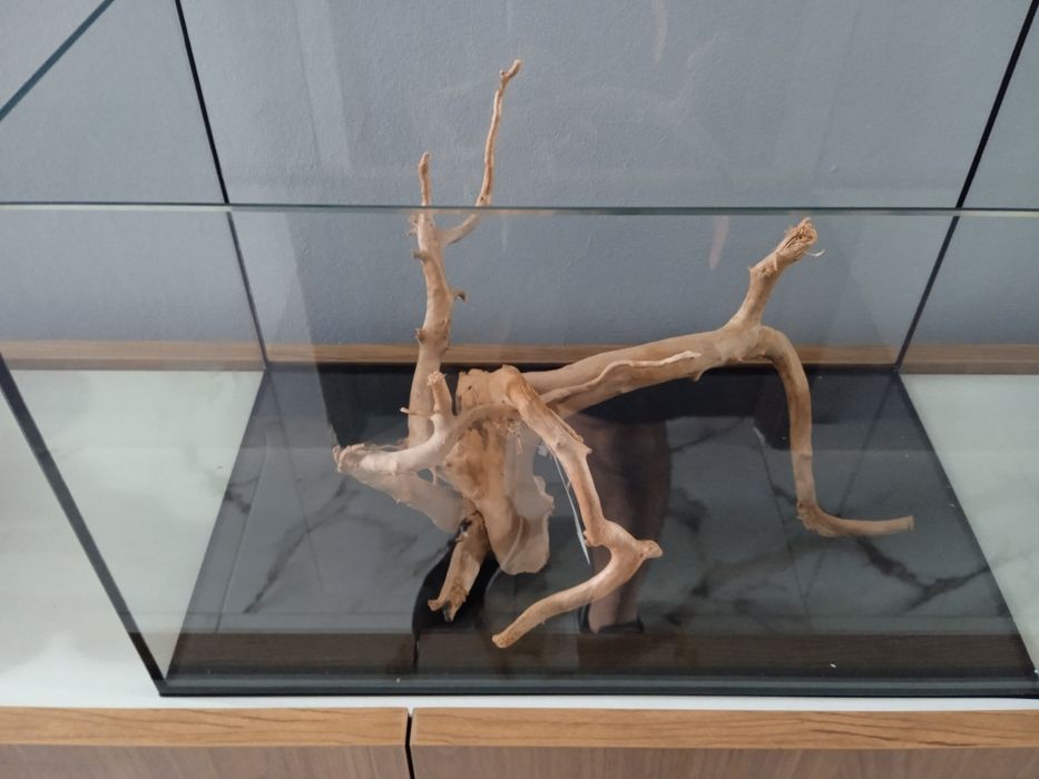 Aquário 45x25x28 com raiz incluída