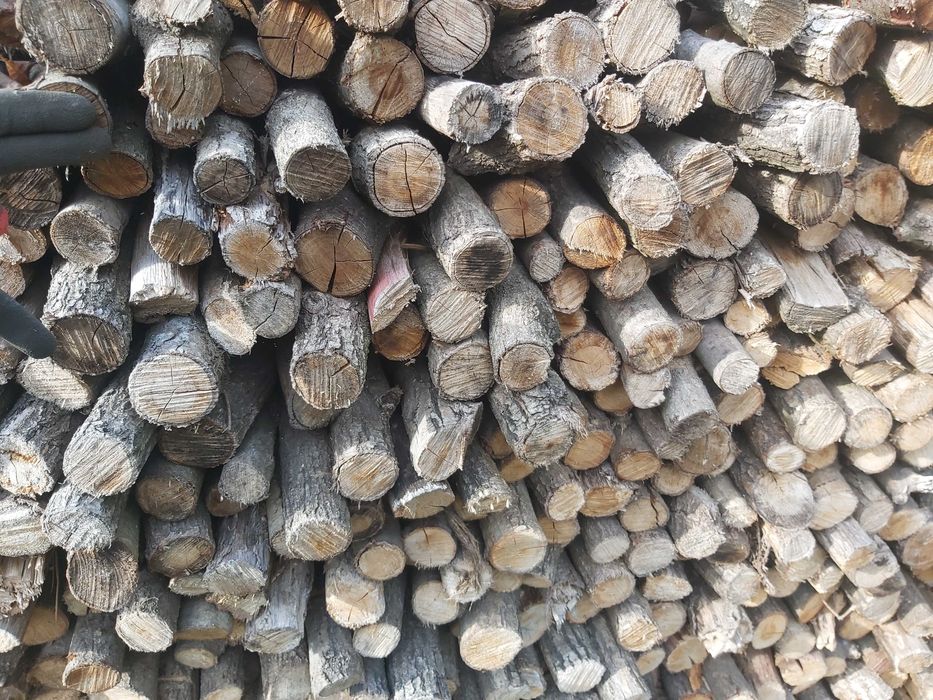 dąb kominkowy suchy drobny gałęziówka