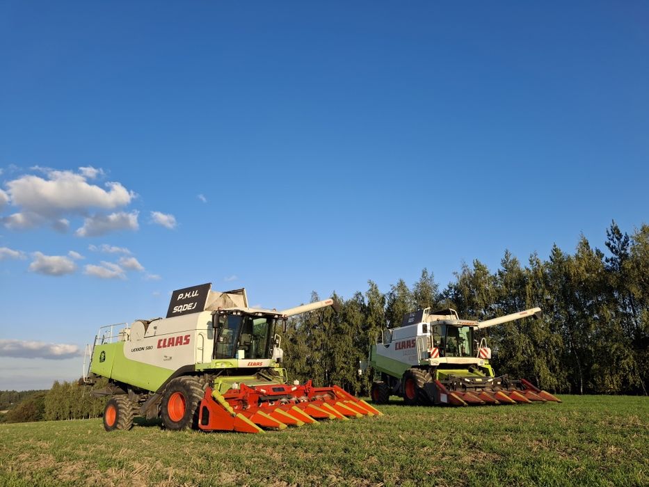 Przystawka do kukurydzy Olimac Drago 8 rzedów claas capello dominoni conspeed