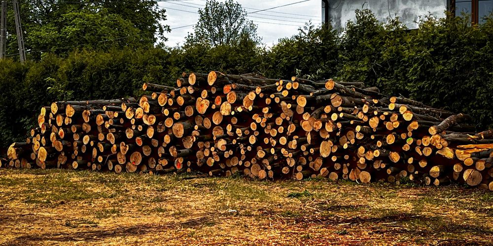 Drewno kominkowe opałowe DĄB BUK BRZOZA SOSNA OLCHA Transport GRATIS