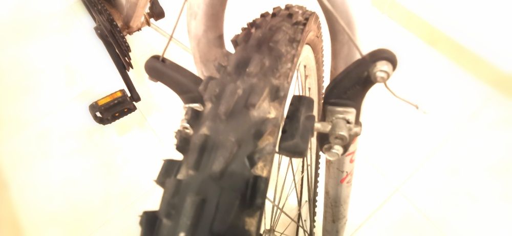 Bicicleta BTT SHIMANO Confersil TY22 Roda 26