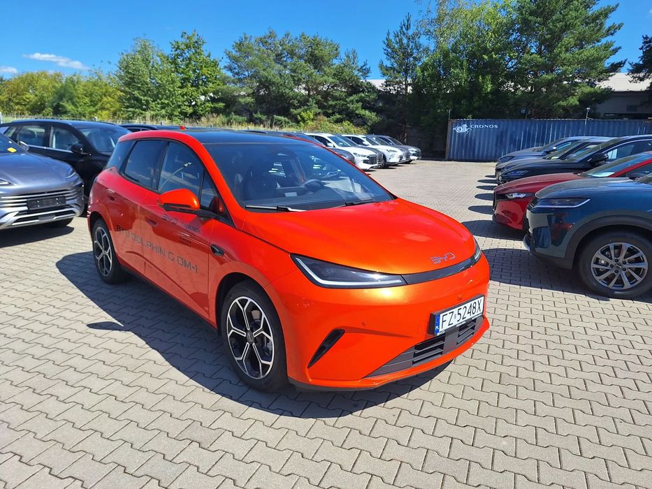 BYD Pozostałe BYD