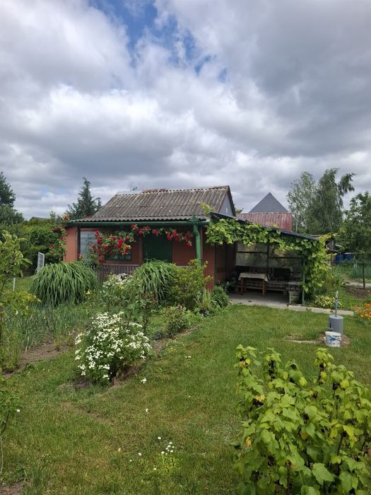 Działka rekreacyjna ROD ,,Nad strumykiem" - Widok 2