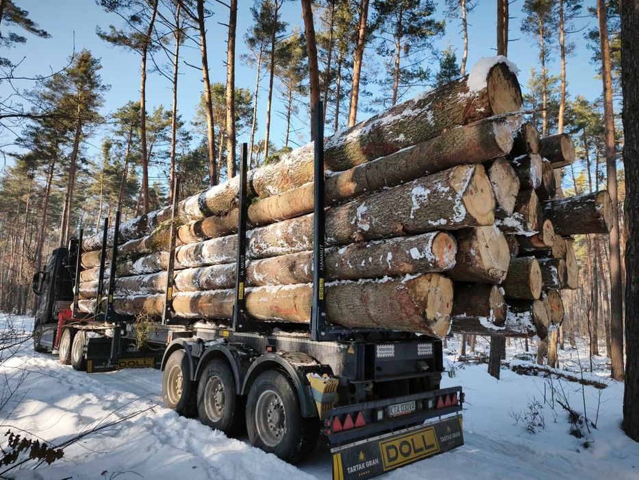 Drewno Tartaczne sosna jodła swierk