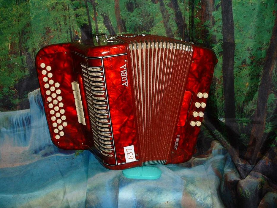 Accordion for Sale No. 63764286586408065123