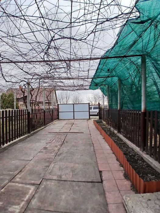 Будинок з газом. Сертифікат
