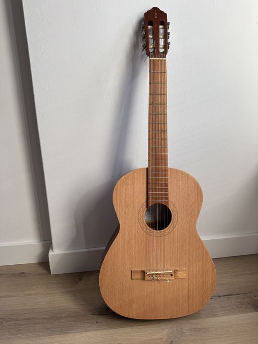 Guitarra APC GC200 OP 4/4 com estojo