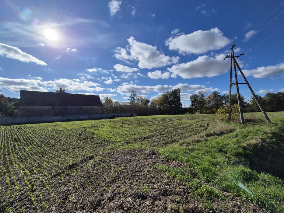 Działki budowlane + ogród - Widok 6
