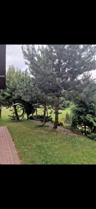 Dom pod Krakowem do wynajęcia