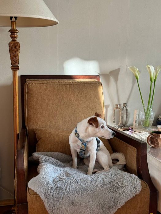 Крісло drexel heritage США ціна за 2 крісла