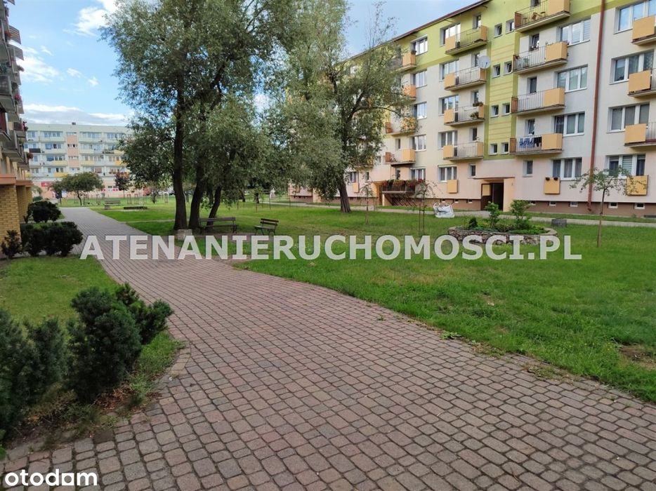 M-3,34,34m2,Blok 2 Piętro,Do Remontu,Przy Parku!