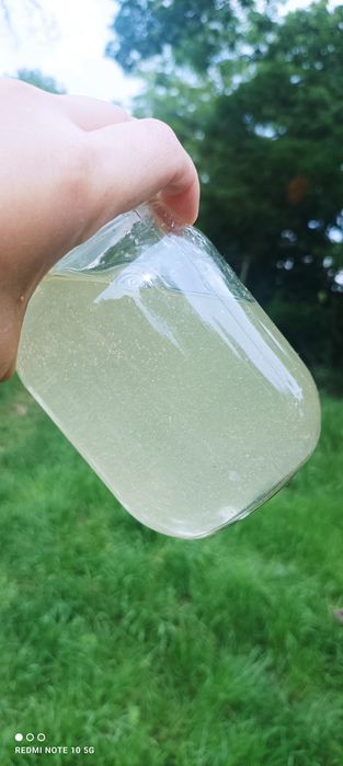 Мед акацієвий з власної пасіки