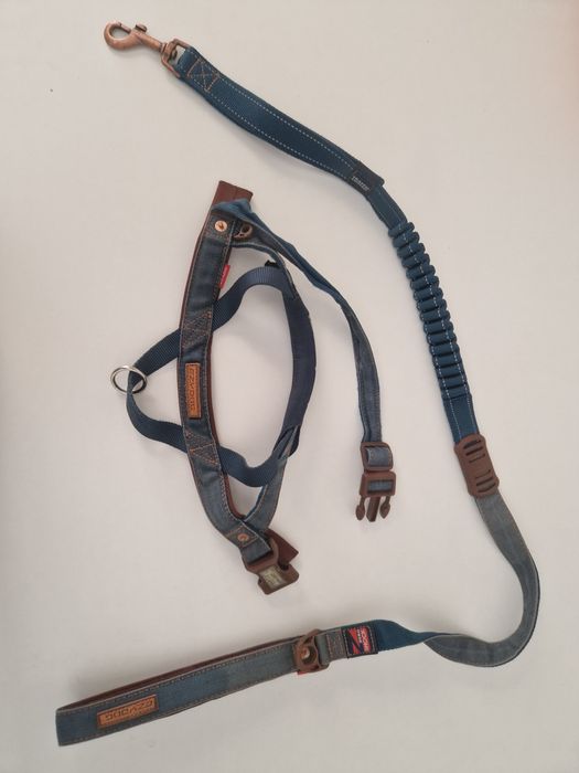 Trela e Peitoral - EZYDOG (antipuxão) - porte médio