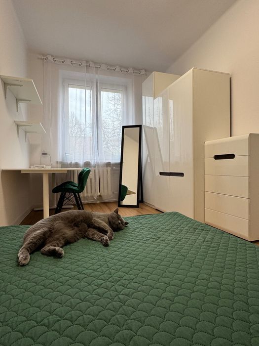 [REZERWACJA] Jednoosobowy pokój do wynajęcia Centrum - Adamskiego 13B