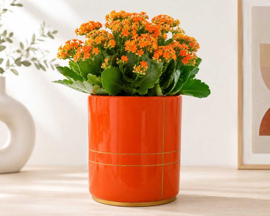 Osłonka ceramiczna RIVERDALE 32 cm dekoracyjna donica premium Ø30 cm
