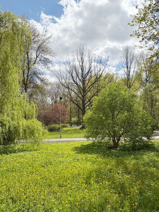 Mieszkanie Katowice park kościuszki centrum brynów obok awf - Widok 2
