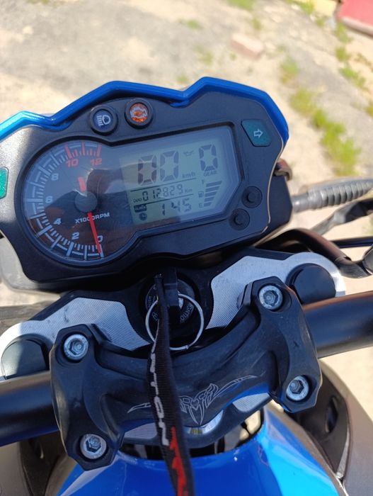 Barton FR 49cm 2023r opłaty na rok.