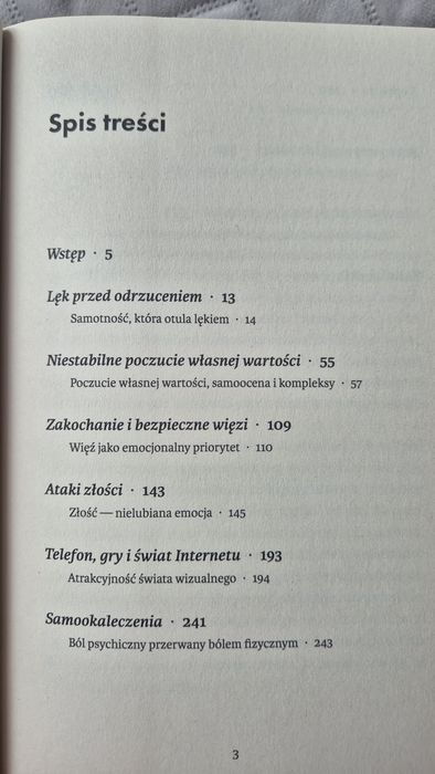 Książka Nastolatek potrzebuje wsparcia