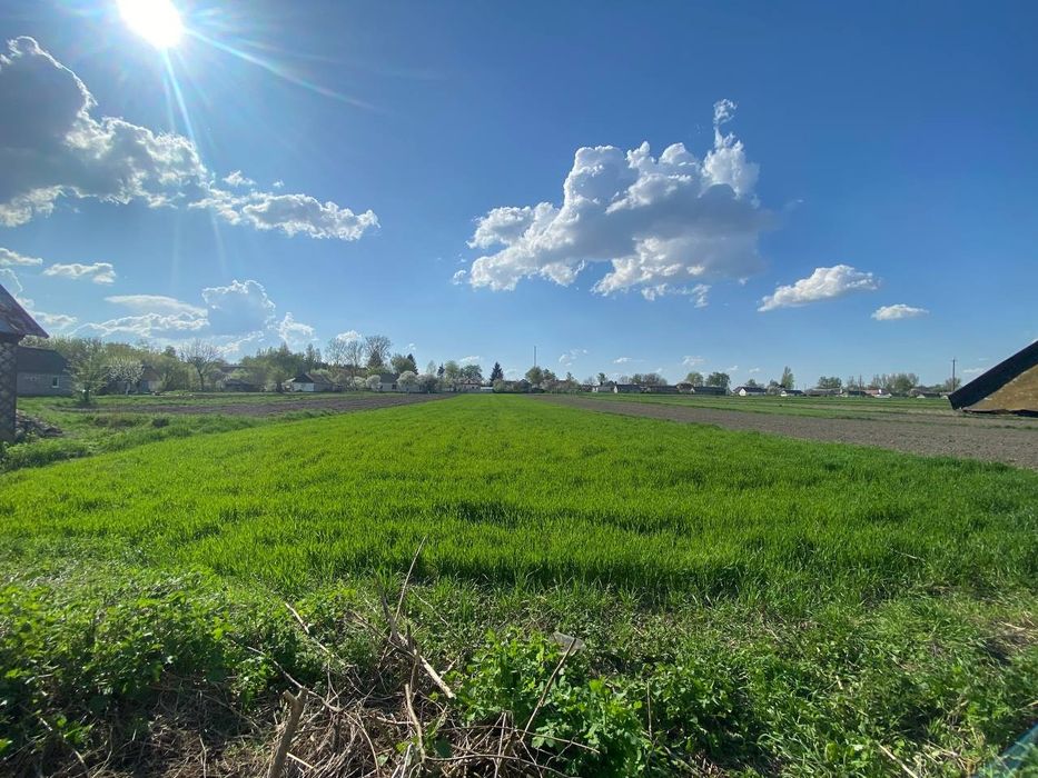 Продам будинок з великою земельною ділянкою в  центрі села Стовпець