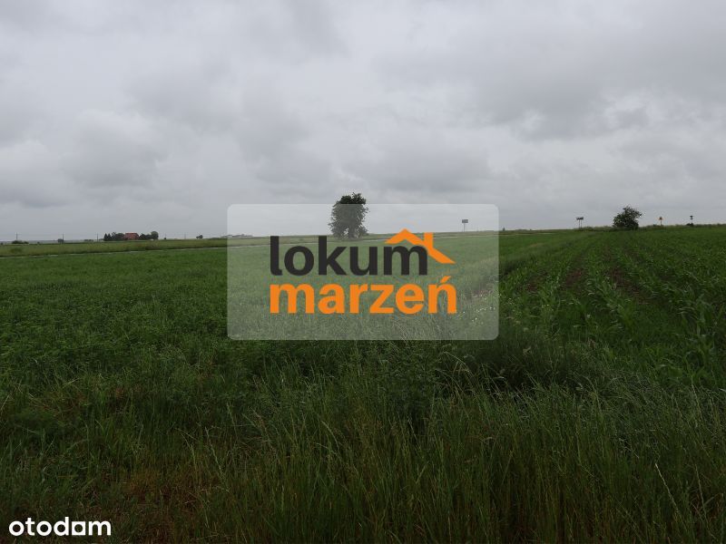 Działka budowlana 20 ar – Domachowo | cisza, nowe domy, WZ