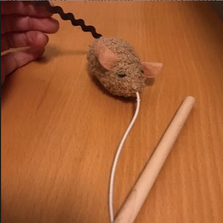 Acessórios para gato desde...