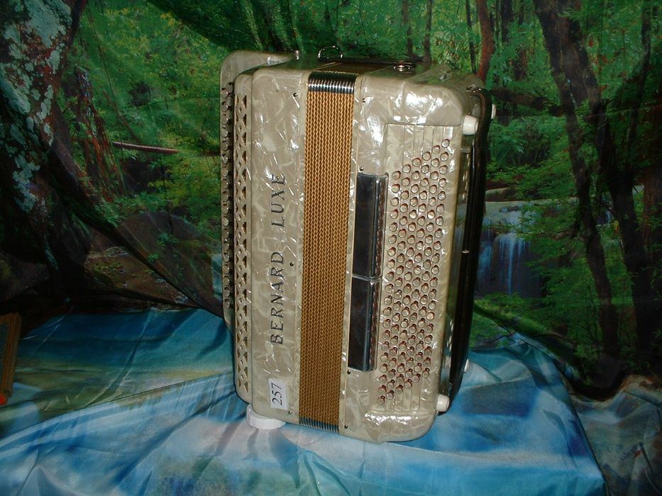 Acordeão Avenda G, .257