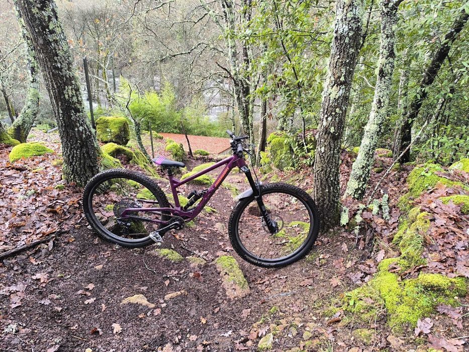 Enduro - Crossworx Dash 290