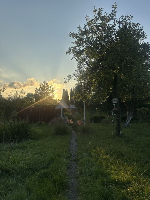 Ogródek ROD Pstrowskiego Bytom 340m2