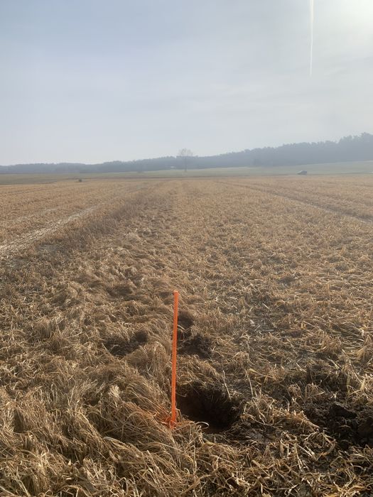 Dzierzawa Gruntow rolnych