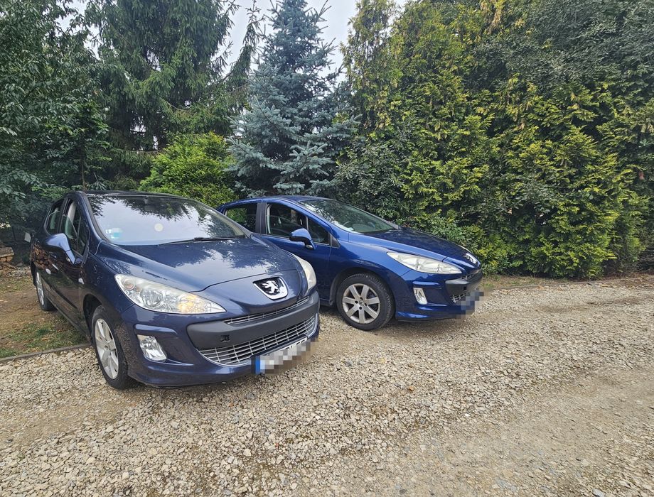 Peugeot 308 1.6 benzyna