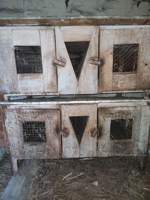 Клітка для кроликів, гризунів