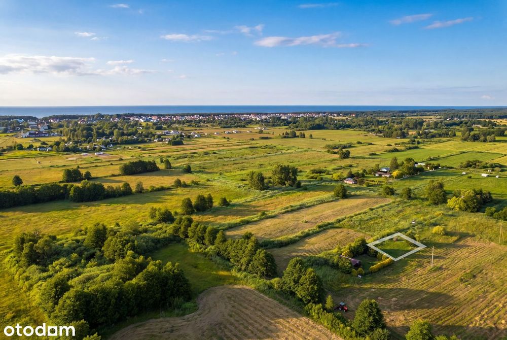 Urokliwe, słoneczne miejsce w Karwieńskich Błotach - Widok 3