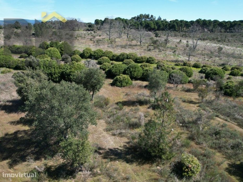 Terreno de 5,3 Hectares na Aldeia de Águas - Penamacor