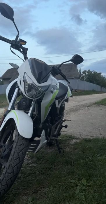 Геон пантера 250