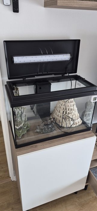 Aquario de 60L novo