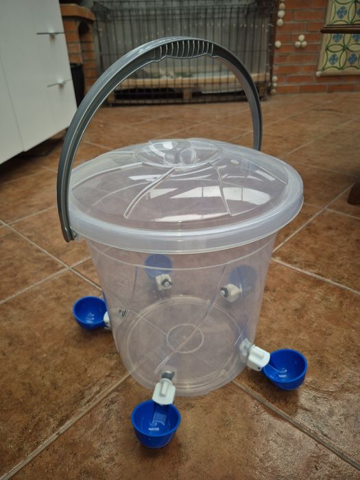 Bebedouro para galinhas