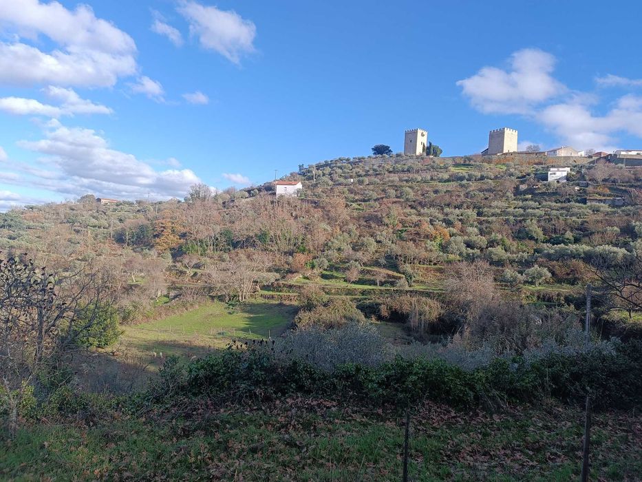 Quinta Pinhel 1 hectare