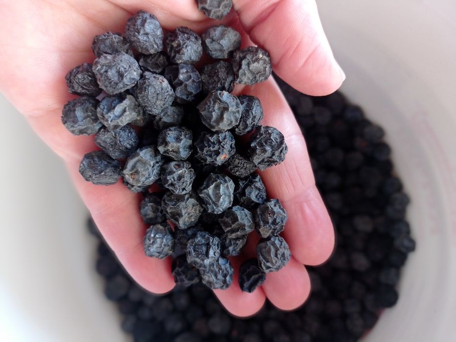 Сушені ягоди терену