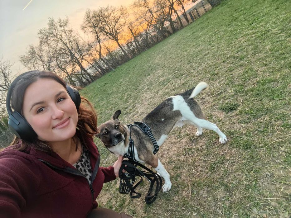 oddam psa, piesek szuka domu PILNIE