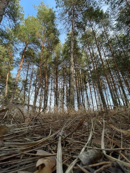 Здам будинок з лазнею на річці
