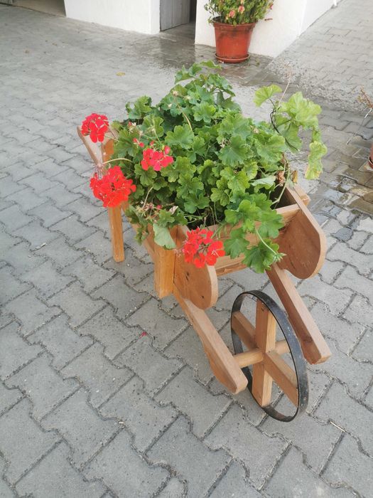 Carros de jardim