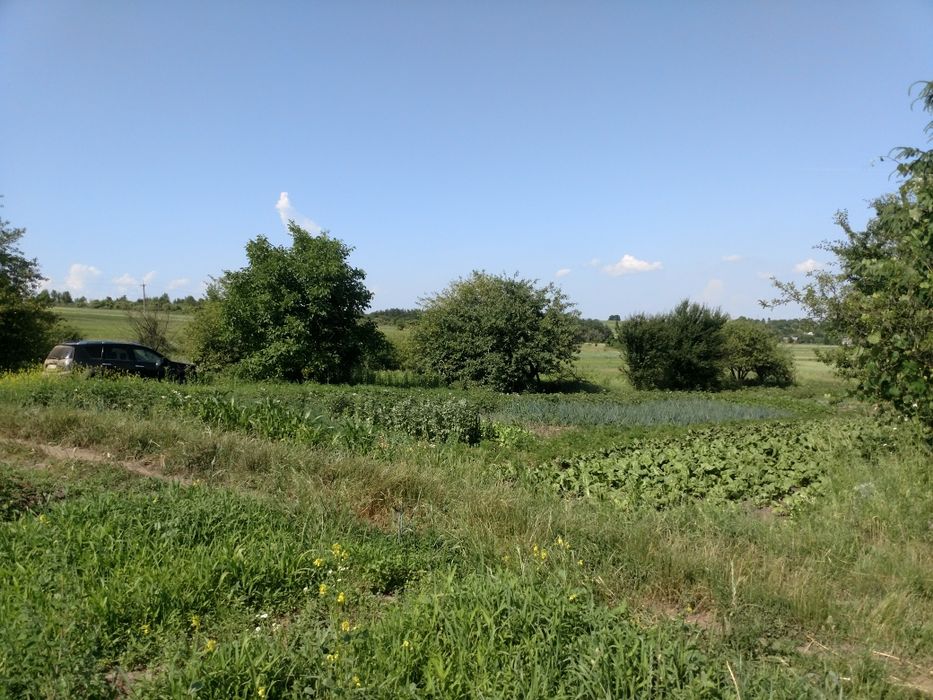 Земельна ділянка