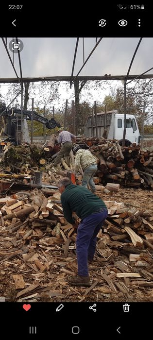 Lenha cidreira coimbra