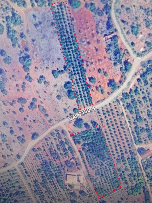 Terreno para venda em Silves com agua de furo e eletricidade